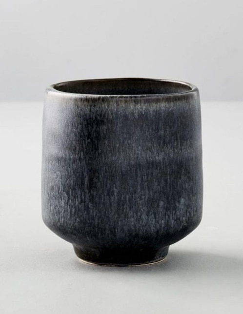 TAZA KANTO DUSK