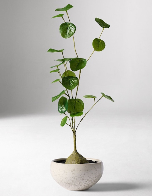 Árbol de la fortuna artificial Faux Potted