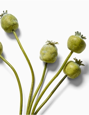 Amapola decorativa Faux