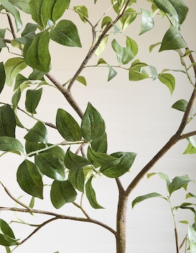 Árbol Faux Potted 197 cm con maceta