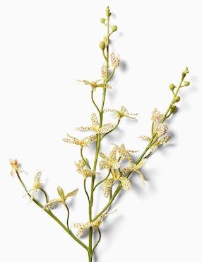 Orquídea decorativa Faux Leaf