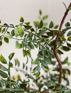 Árbol Faux Tree