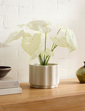 Caladium artificial Faux Potted