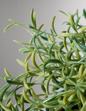 Delfín artifical Faux Potted