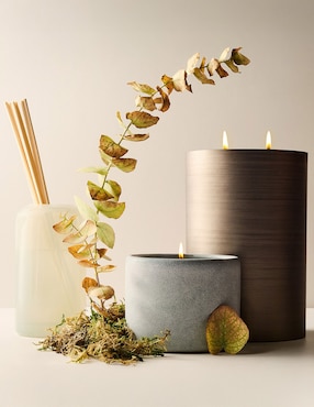 Vela aromática Terra Homescent aroma Seagrass Mint