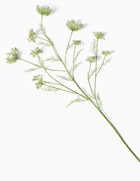 Daucus Carota decorativa Faux Branch