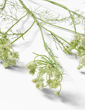 Daucus Carota decorativa Faux Branch