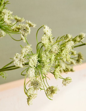 Daucus Carota decorativa Faux Branch