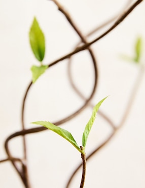 Rama decorativa Faux Branch