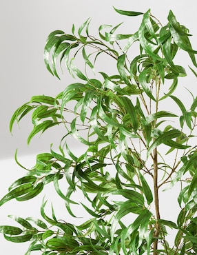 Eucalipto artificial Faux Potted