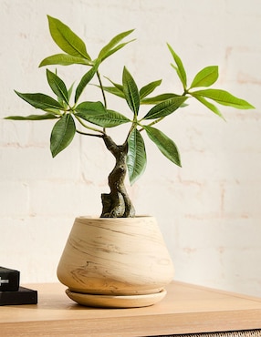 Árbol de la fortuna artificial Faux Potted