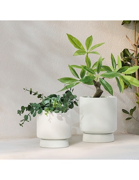 Árbol de la fortuna artificial Faux Potted