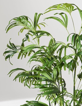 Árbol Faux Potted