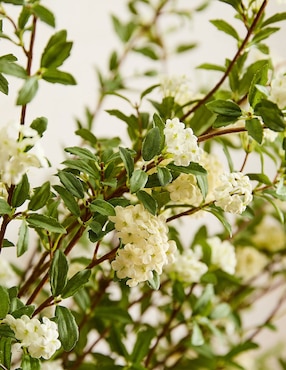 Rama decorativa White Blossom