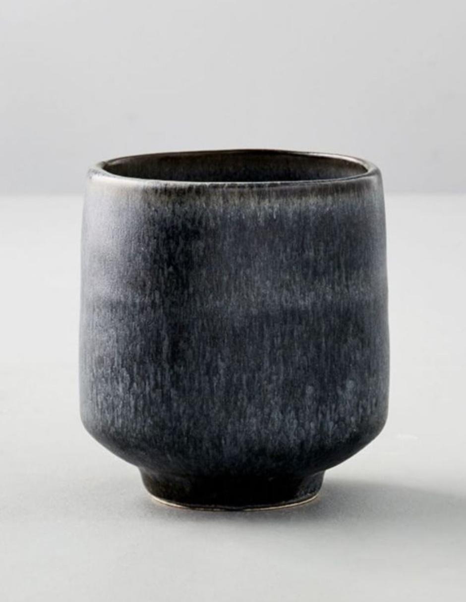 TAZA KANTO DUSK