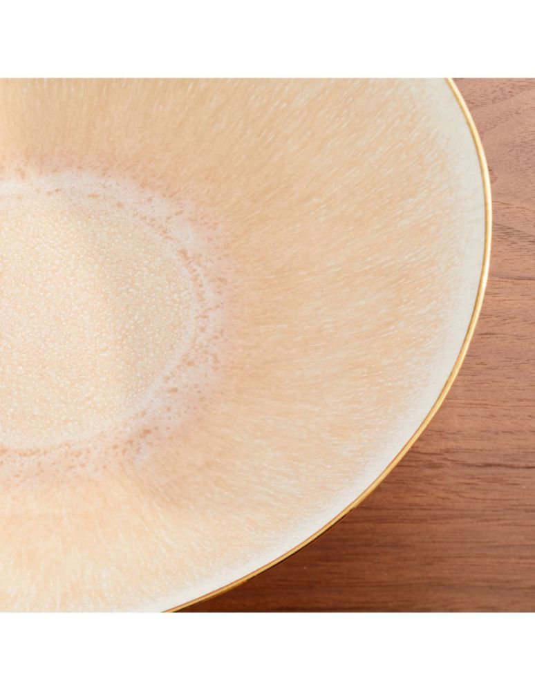 Platón bowl Reactive Glaze de cerámica 2
