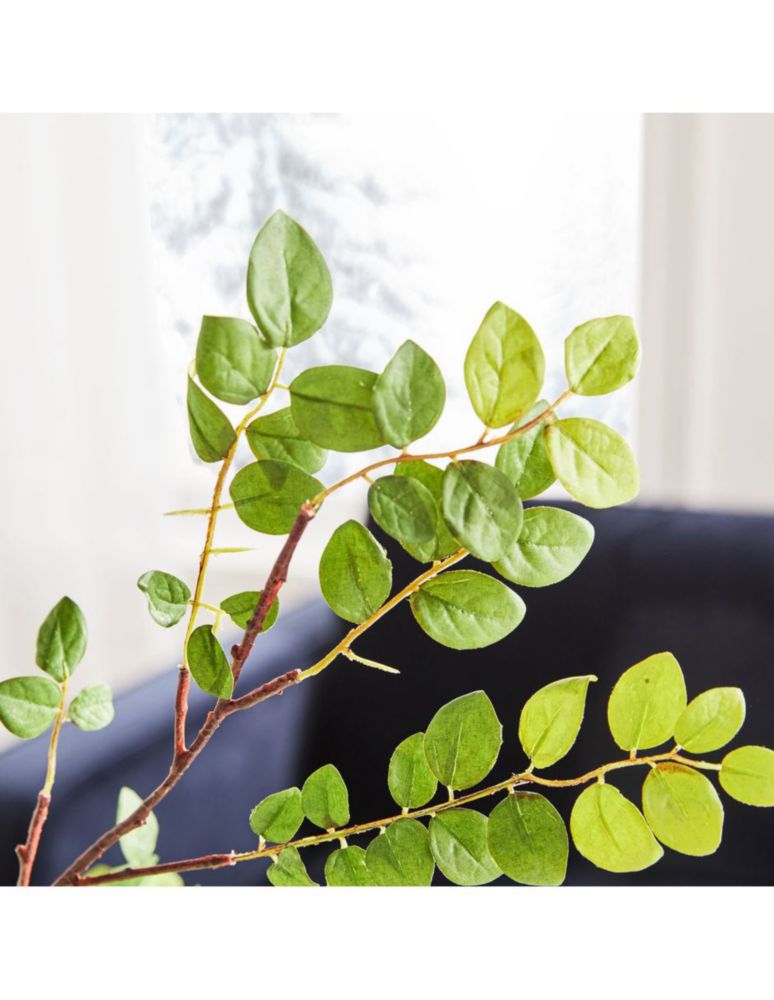 Hoja de frijol decorativa Bean Leaf 2