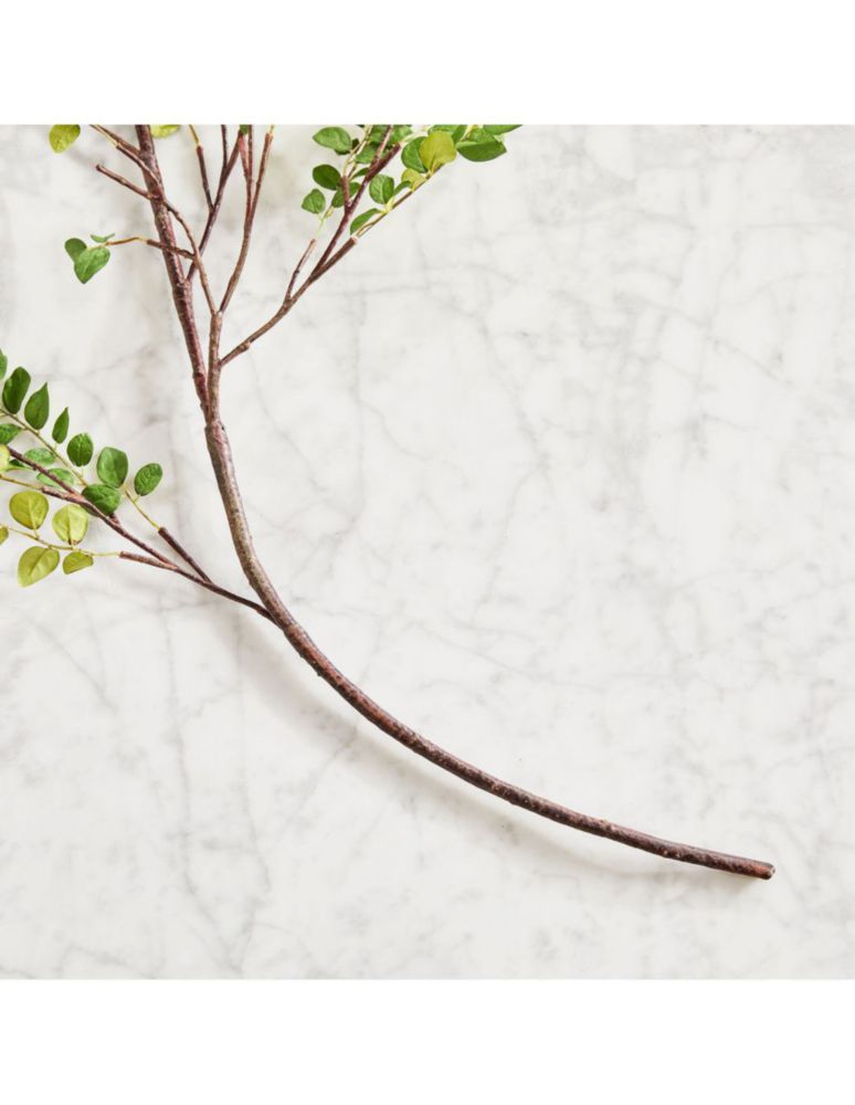 Hoja de frijol decorativa Bean Leaf 3