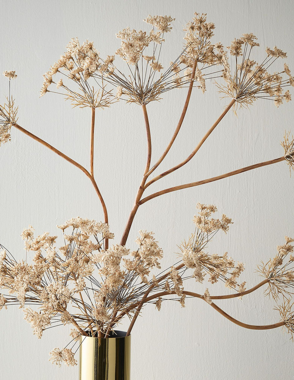 Rama decorativa Anne's Lace 3