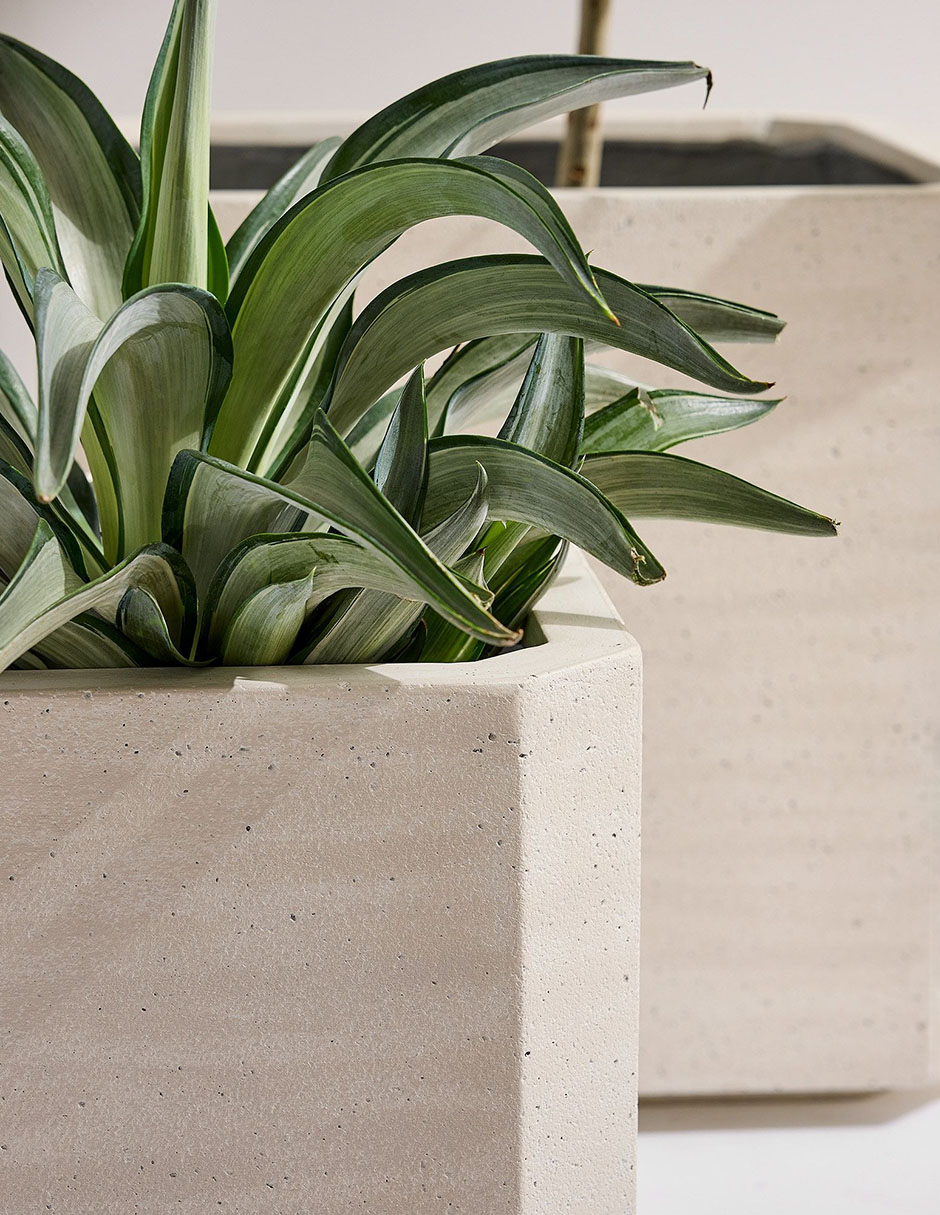 Maceta Beveled de cemento 2