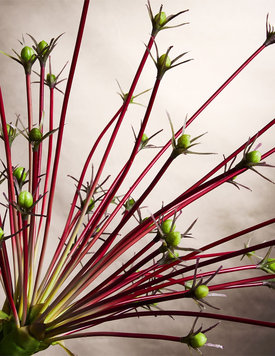 Rama decorativa Botanicals 2