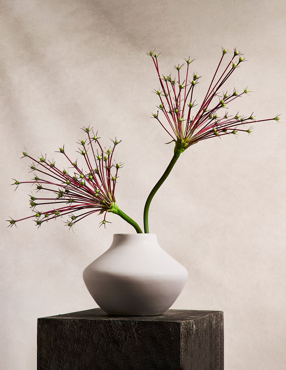 Rama decorativa Botanicals 3