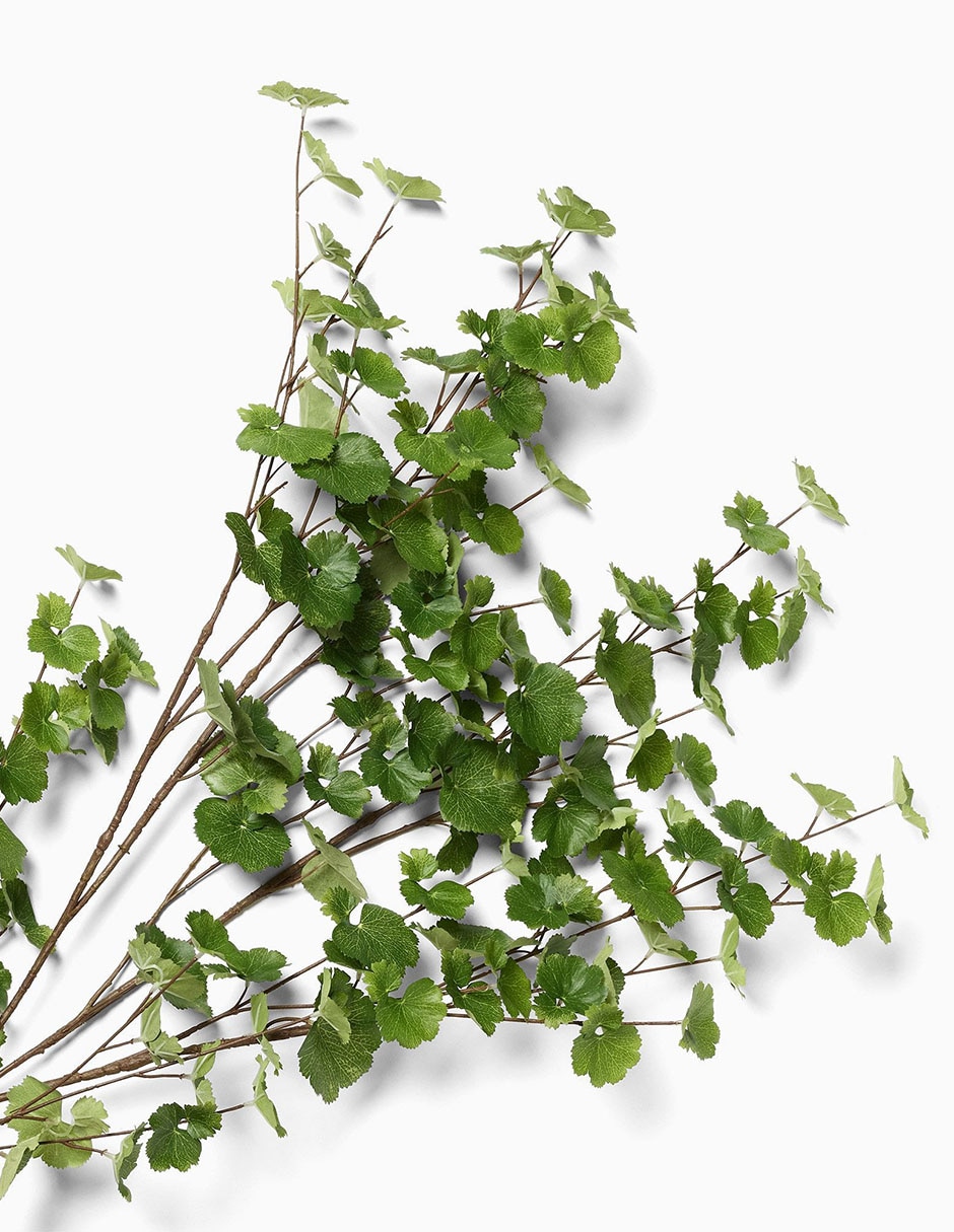 Rama decorativa Faux Herb 4