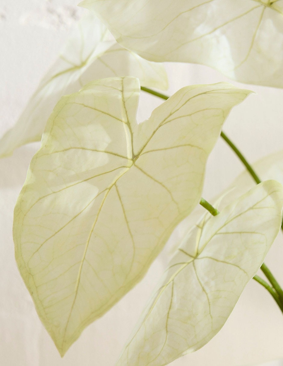 Caladium artificial Faux Potted 3