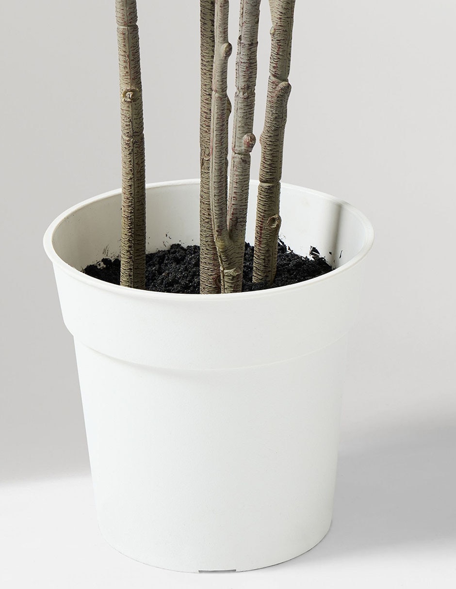 Árbol Faux Potted