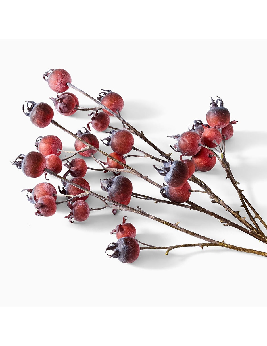 Rosa mosqueta decorativa Faux Bundle 2