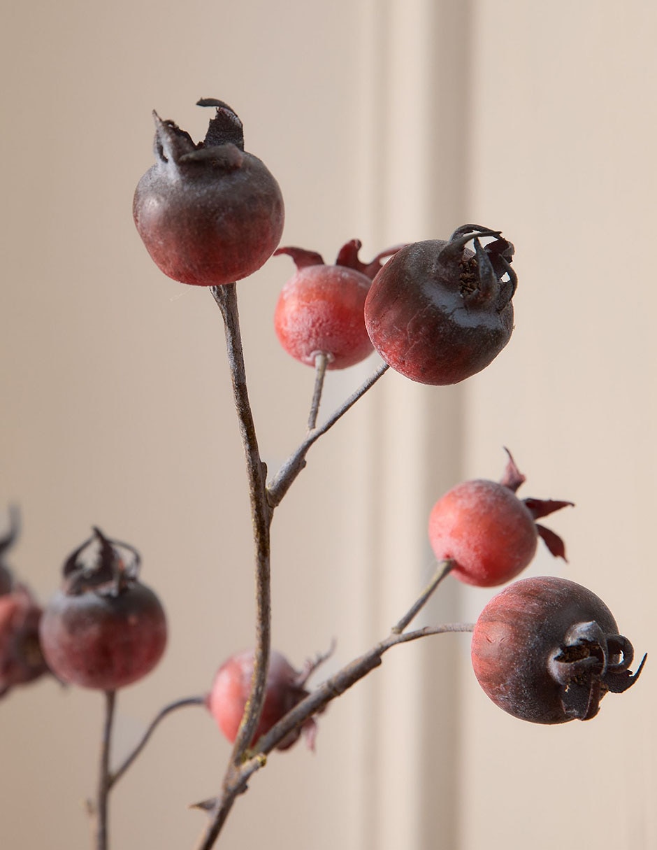 Rosa mosqueta decorativa Faux Bundle 3