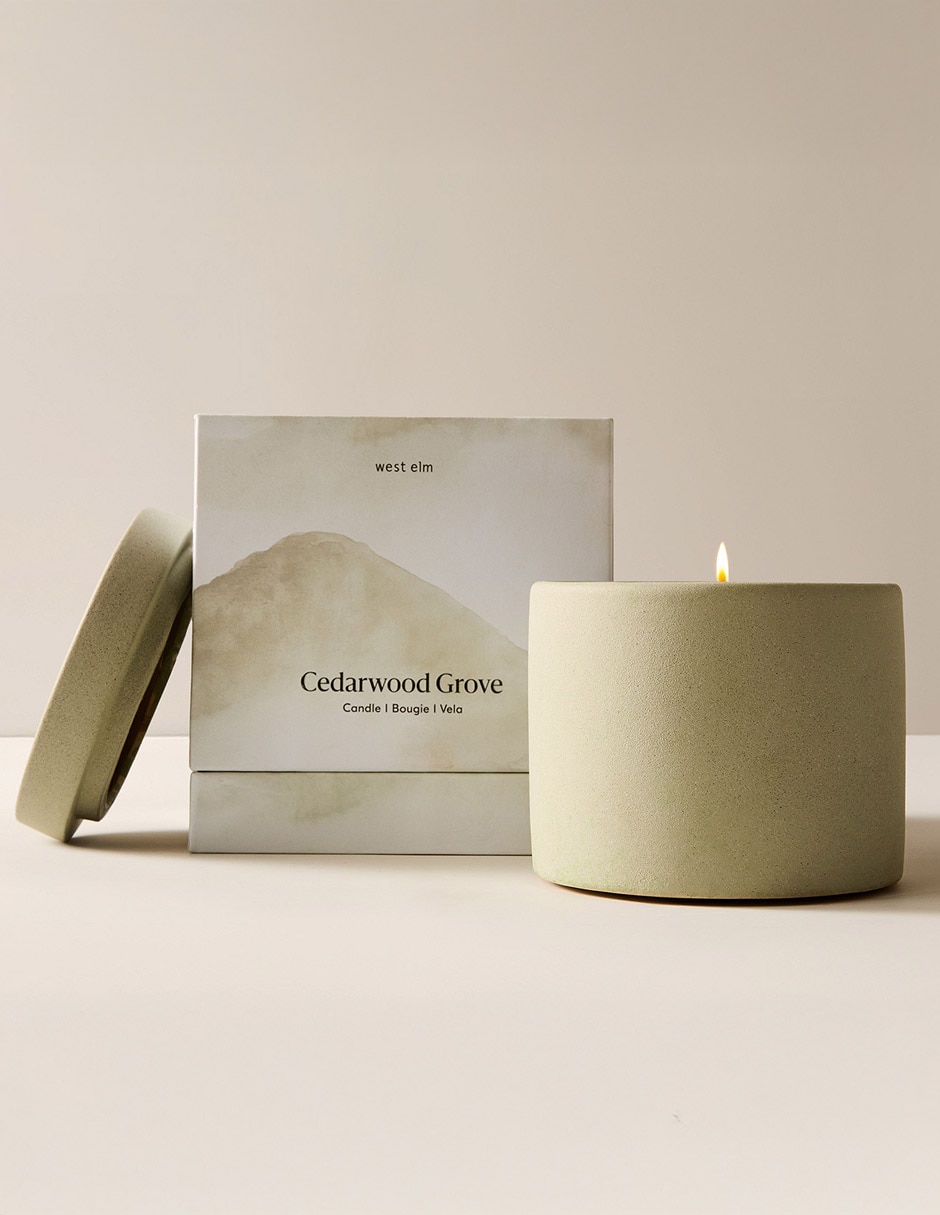 Vela aromática Terra Homescent