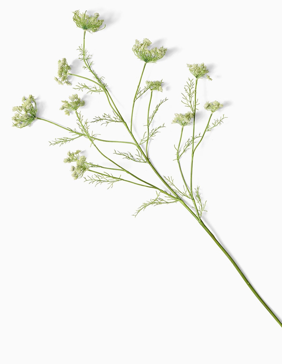 Daucus Carota decorativa Faux Branch