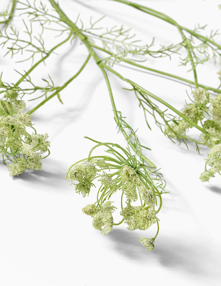 Daucus Carota decorativa Faux Branch 2