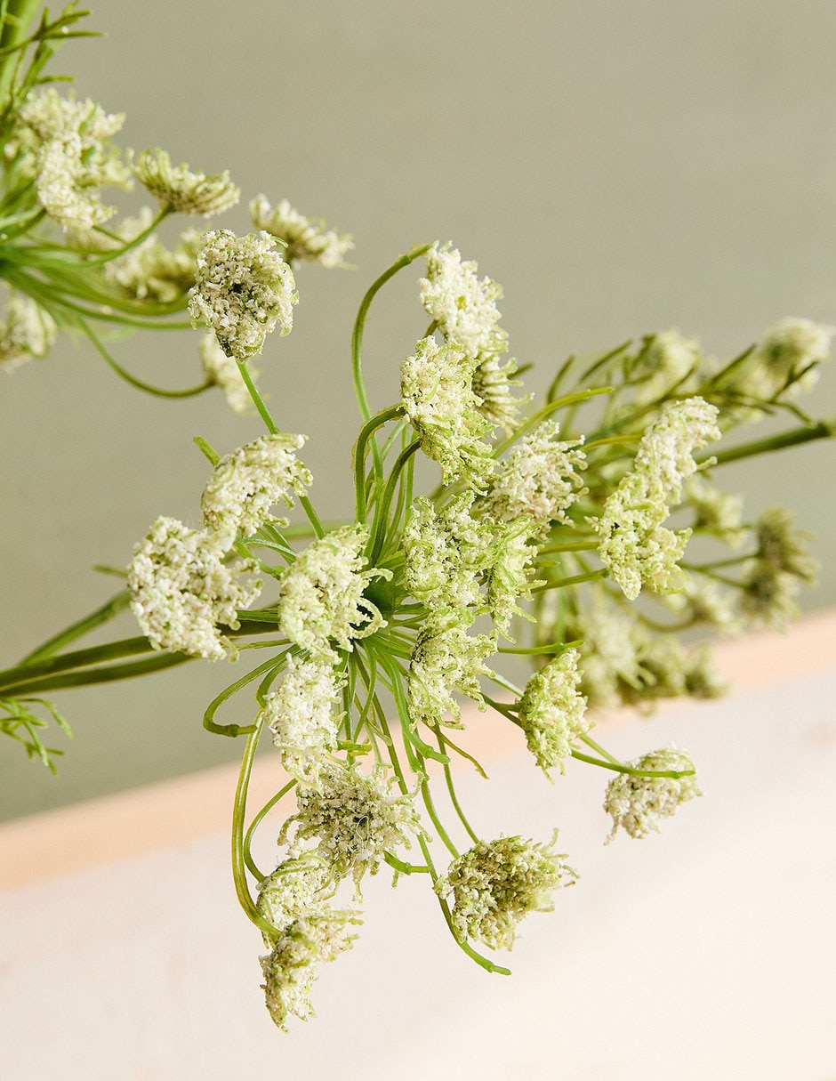 Daucus Carota decorativa Faux Branch 4